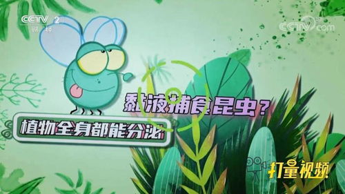 这里插播个冷知识：