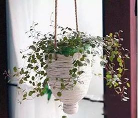 画圈切孔， 巧变花盆