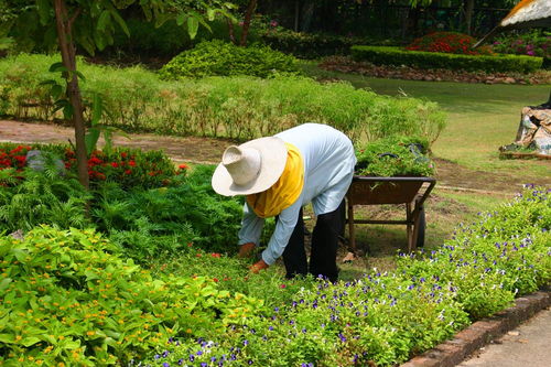 园林公司名称必须清晰明了
