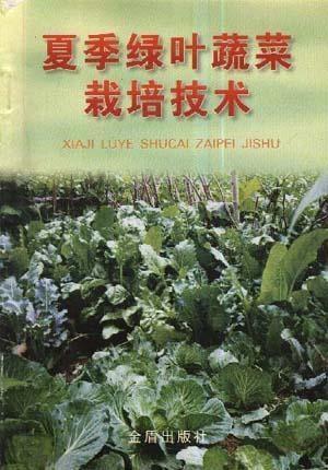 夏季绿叶菜种植的保健作用大揭秘！