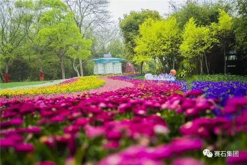 大空间，多种花