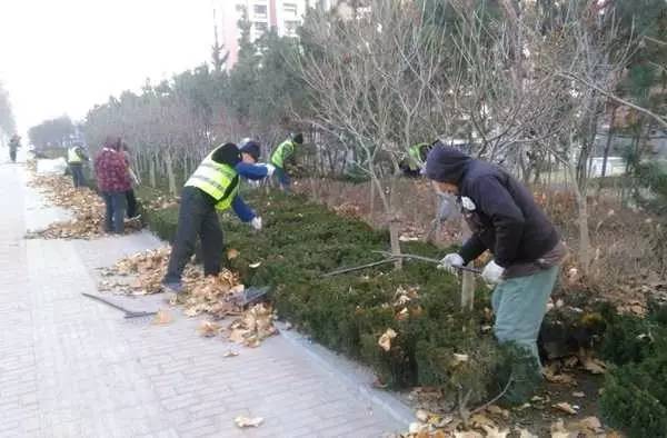 四、 落叶灌木（20 种）