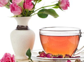 玫瑰花水培技巧，花期梗长的小秘密