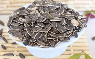 瓜子黄杨种植密度揭秘：一平方嫩种多少棵？