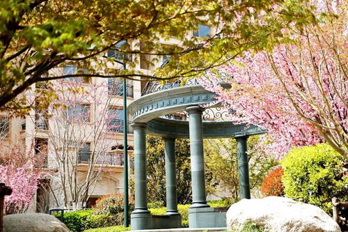 绿化重点打造，四季丰富特色显