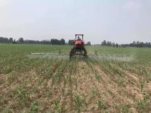 哎呀， 说起来这除草剂啊，真是让我又爱又恨的玩意儿