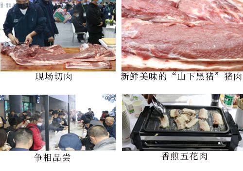 四川猪艾了饲料价格是多少？朱师傅饲料价格一头猪每月需要花费多少钱？