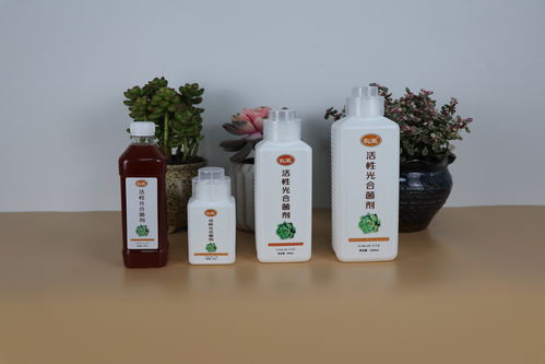 腐蚀微生物， 无处不在