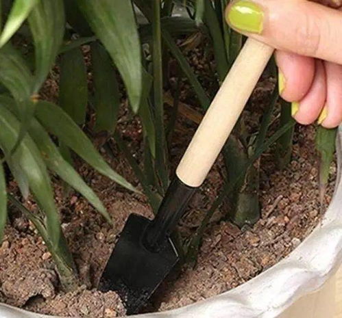 第五步：浇水保湿