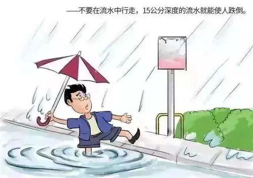 浇水技巧：避免冲走种粒