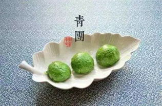如何正确养护金佛手，使其保持生机勃勃的状态