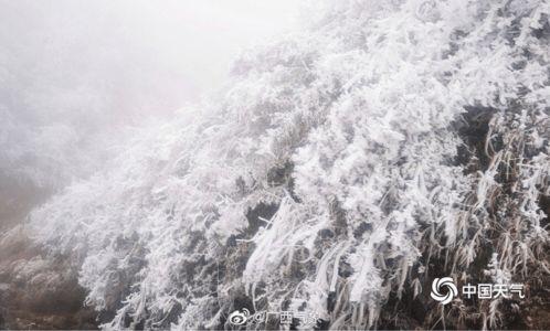 北方严寒下的暗黑奇迹