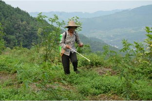 制备方法，一kan就会