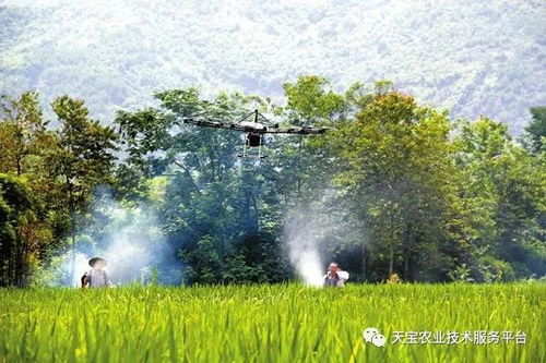 喷洒农药前的准备工作