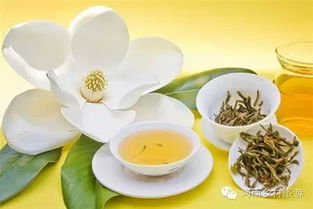 玉兰花茶+枸杞，养生又美容
