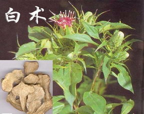 如何砍价， 获取梗多优惠