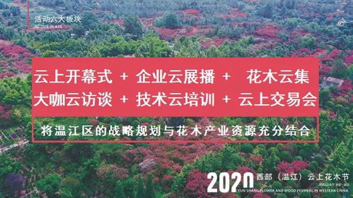 官网上的“绿化大礼包”