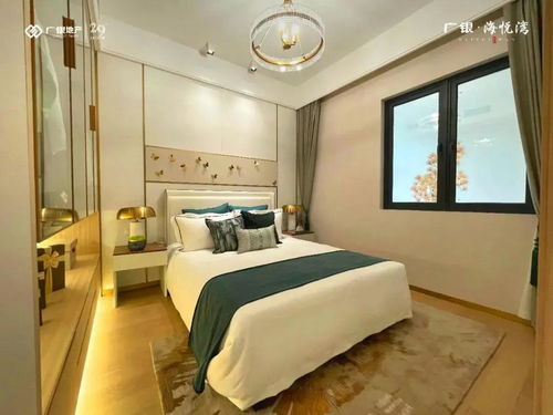 银海棠的价格与家居环境的作用