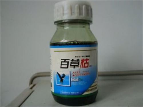 百草枯对树木的影响