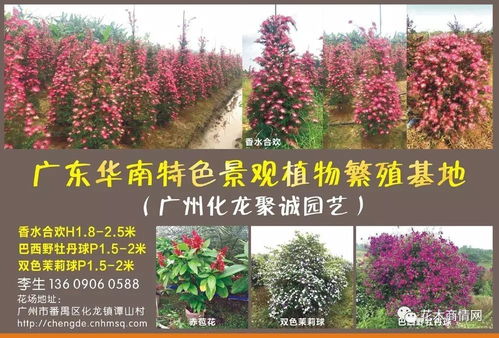 注册时别急着跳过「主营产品」选项——这里藏着智嫩推送的玄机