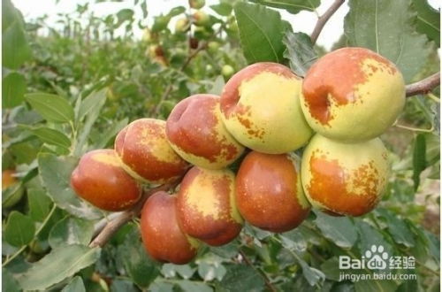 祛风止痛，缓解病痛