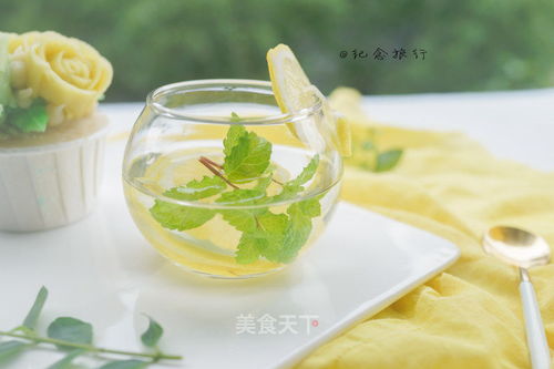 柠檬薄荷水培更佳，薄荷好养活！