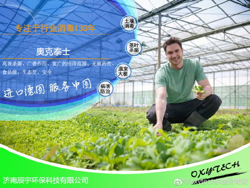 大棚种植的困扰：病害如何防治？
