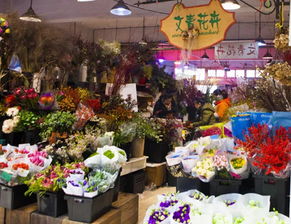 寻花山东， 探秘花卉批发市场的秘密角落
