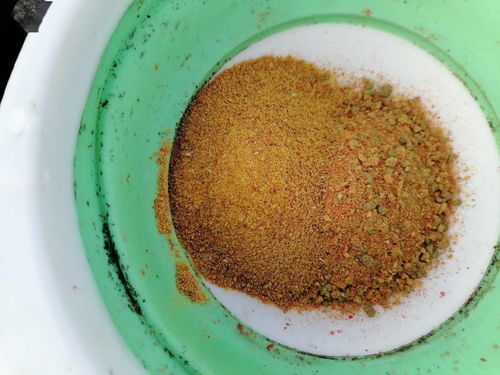 饵料香浓，鱼儿留恋