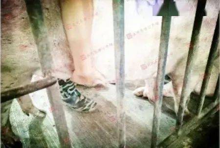 丹麦人工授精五步刺激法，第一步是什么