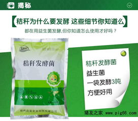 红薯渣发酵干制真的能节省30%饲料成本吗？