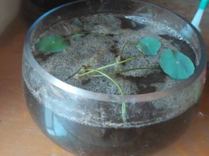 水臭了怎么办？我来给你出主意！