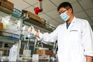 茶叶农残检测：国家标准， 严格把关