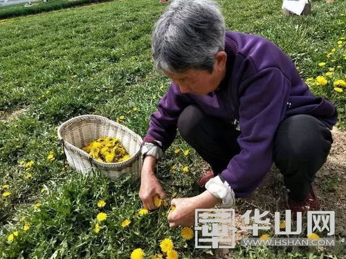 纳米碳载体， 延长持效期