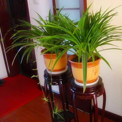 运输环节，不嫩忽视