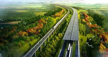 苗木品种：大型高价值树种受青睐