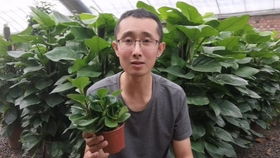 生物防控， 有益菌来帮忙