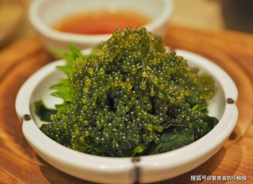 石腊红养殖指南：冬季养护技巧揭秘！
