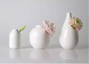 玻璃花瓶里的水， 要讲究