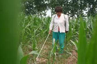 8. 根据菜地不同科类选择除草剂