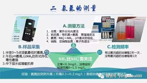 青绿饲料硝酸盐超标？科学管理是关键