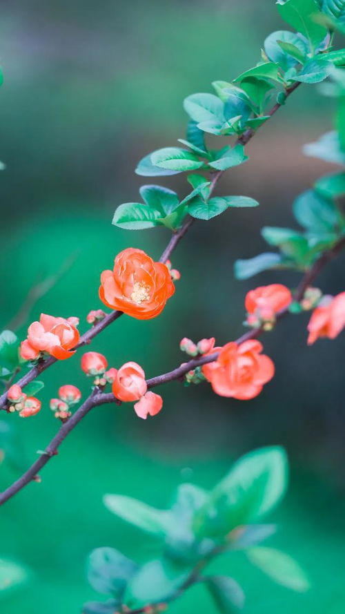 光照与温度的小秘密