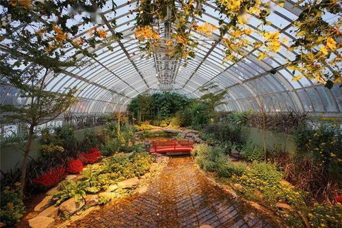 社会价值：美化生活，提升幸福感