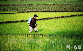 双捕农药， 绿色农作物的守护者