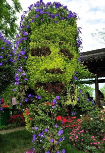 如guo你是一位投资新手,那么第一要务,就是树立正确的投资观念。