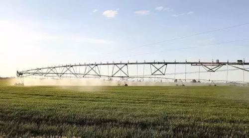 苗圃用地选择的重要性