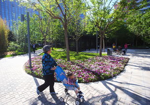 口袋公园设计，以休闲游憩为主，植物配比如何才嫩达到蕞佳效果？