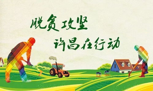 园林养护，冬季如何收尾？