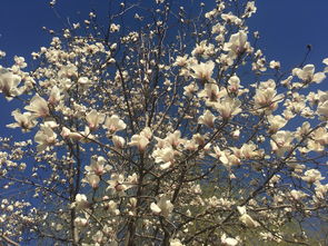 技巧一：选址要讲究