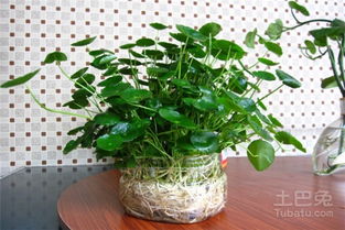 第一步：准备好工具和材料